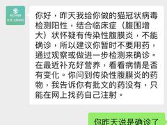 -瑞派动物医院·绝育·犬猫全科·预防医学(光景江南中店)