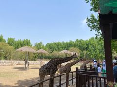 -北京野生动物园