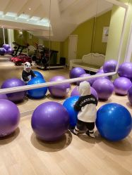 -皇家月府月子中心(沈阳店)