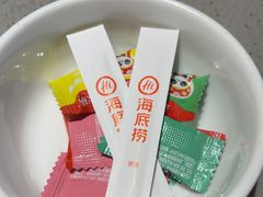 -海底捞火锅(公益西桥店)