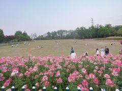 -紫马岭公园