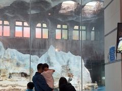 -帝企鹅自助餐厅•儿童岛•真企鹅(长隆企鹅酒店)