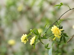 -Beans Solo豆号咖啡(百家湖花园店)