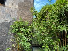 -成都金河宾馆(宽窄巷子店)