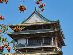-台儿庄古城