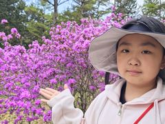 -黑龙江省森林植物园