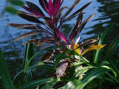 -人民公园(罗湖区)