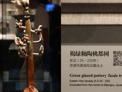 -河南博物院