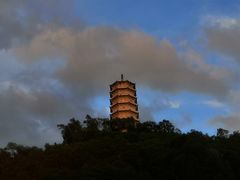 -深圳国际园林花卉博览园