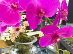 -鸿星花园酒家(银亿家园店)