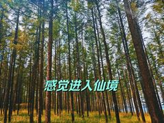 -塞罕坝国家级自然保护区