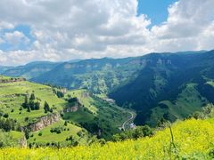 -芦芽山旅游度假区