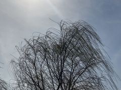 -渤公岛生态公园