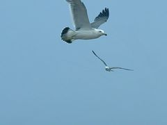 -那香海钻石沙滩浴场