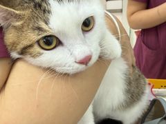 -美联众合动物医院·24h京西诊疗中心