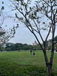 点击看大图 -玄武湖景区-情侣园游乐场