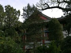 -北京大学-燕南食堂