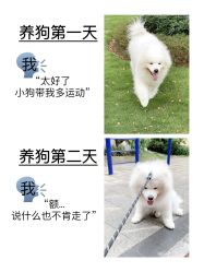 -Oasis Beauty水磨坊科技美肤中心