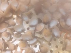 -凯盈阁·顺德私房菜·桑拿鸡