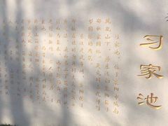 -习家池