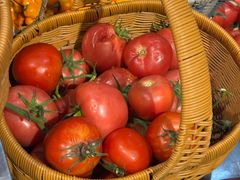 -小小饭店·休闲农庄·安吉松树林里的农家菜