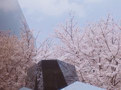 -龙美术馆(西岸馆)