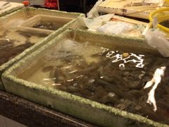 -白沙菜市场
