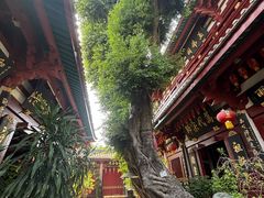 -叩齿古寺