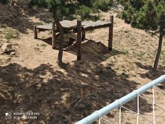 -西霞口神雕山野生动物世界