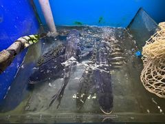 -安吉美渝石锅鱼(芜园西路店)