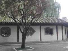 -团结湖公园
