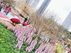 -海心沙亚运公园