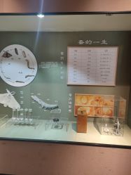 -太湖雪蚕桑文化园