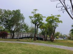 -王借岗森林公园