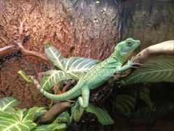 -酷嗒动物文化乐园(cutezoo西溪乐天城店)