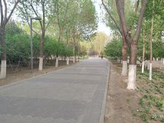 -大兴滨河森林公园