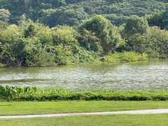 -风云岭森林公园