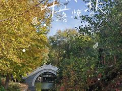 -菖蒲河公园