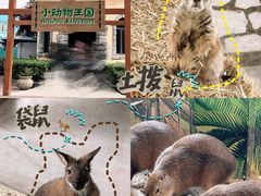 -海合安武汉极地海洋公园