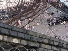 -春风习习