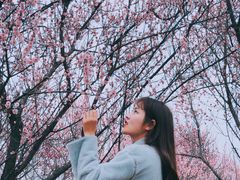 -蜀冈西峰生态公园