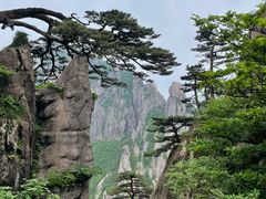 -黄山风景区