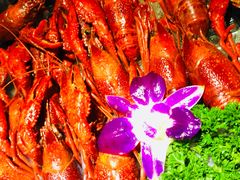 -红盔甲·小龙虾(天钥桥店)