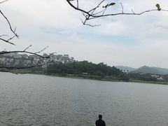 景观位-悦湖公馆