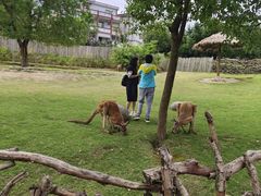 -泉州海丝野生动物世界