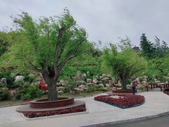 -威海华夏城景区