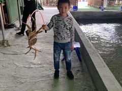 -会江钓鱼钓虾烧烤场