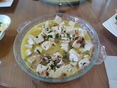 -前小桔亲子创意农场·草莓采摘·露营烧烤