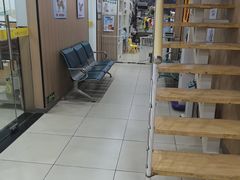 -米苏动物医院·犬猫专科·骨科外科内窥镜