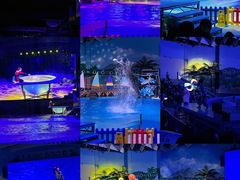 -海合安武汉极地海洋公园